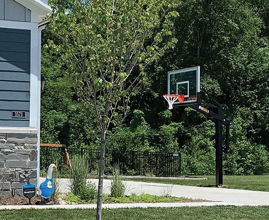 basketball hoop in yard